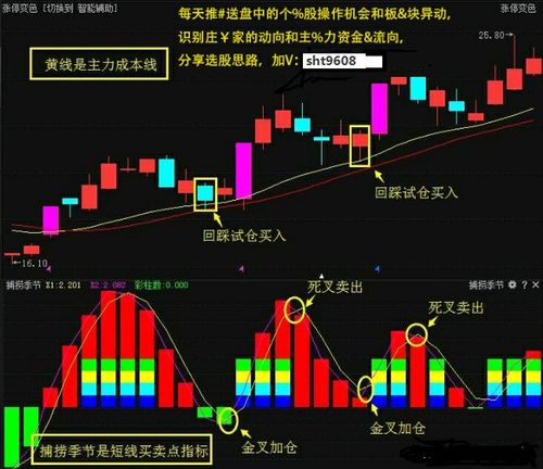 如何调研一个股票市场