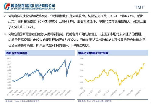 股票月报如何看 股票月报如何看