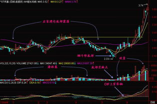 财大证券怎么买股票 财大证券怎么买股票