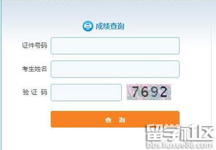 证券开通怎么查询