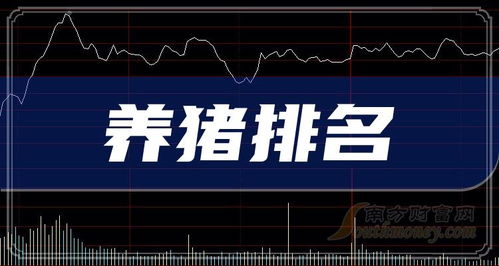 养猪股票如何