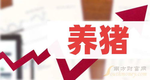 养猪股票如何