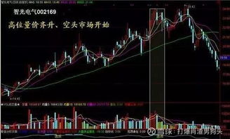 如何选会涨的股票呢