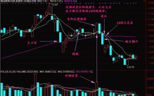 散户化的股票如何存活