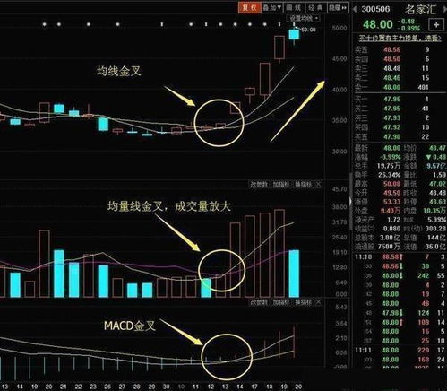 如何看见大户介入股票 如何看见大户介入股票