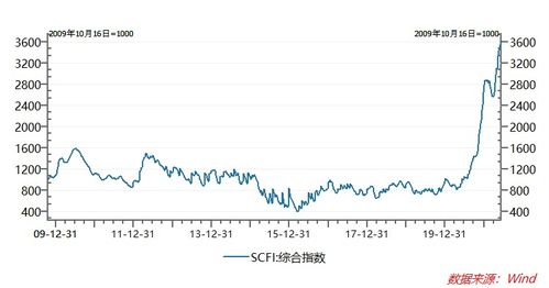 如何看待海运股票