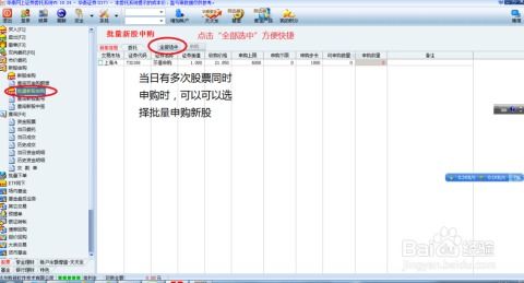 股票申购中签如何查询