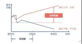 股票期权如何行权 股票期权如何行权