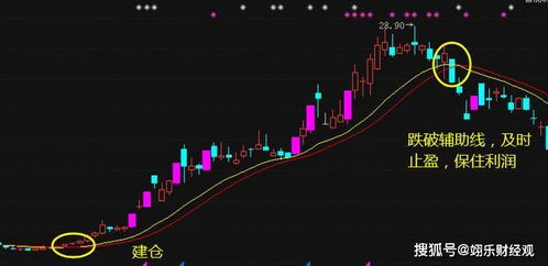 如何挑选小项目股票