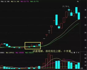 如何看一个股票主力资金