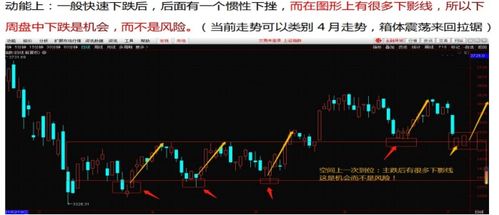 如何正确调整股票收益