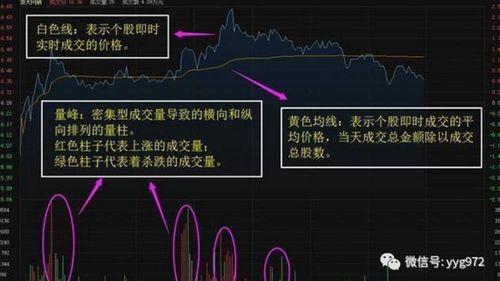 股票如何在当日卖在高点
