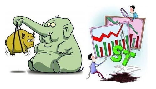 散户如何收到股票分红的