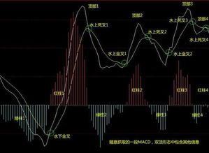 股市一众高手如何选股票
