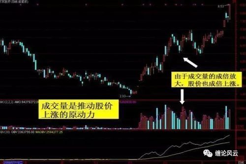 如何判断股票会大涨