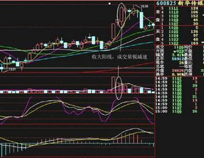 如何看股票k线量价