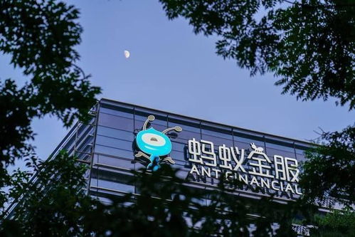 证券公司借呗怎么用