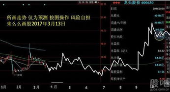 600630股票如何