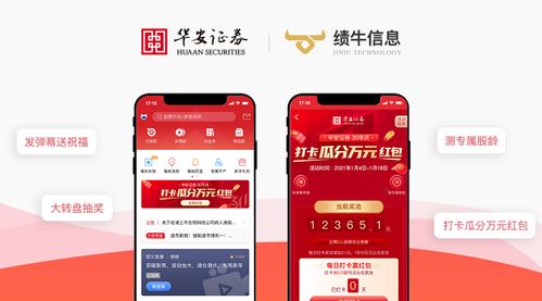 华安证券中签怎么查