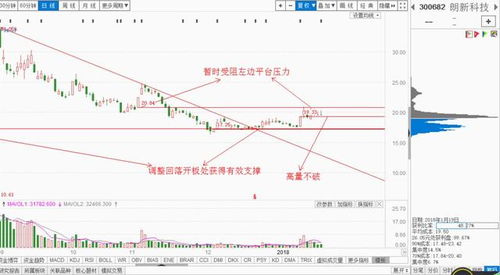 如何抢蚂蚁金服股票 如何抢蚂蚁金服股票