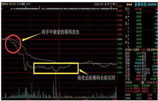 买股票时如何选择股东 买股票时如何选择股东