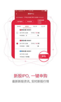 怎么申购平安证券新股