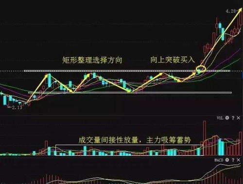 如何看待股票的未来发展