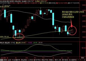 如何看涨股票线路
