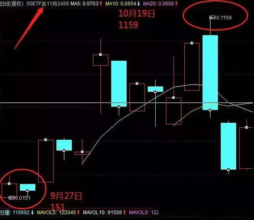 如何接受股票收益投入