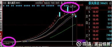如何成为股票中的赢家
