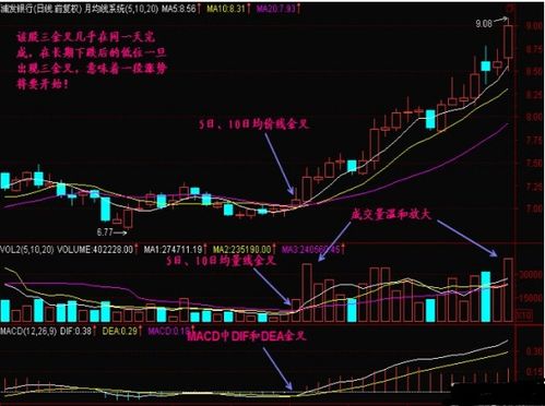如何正确买股票视频