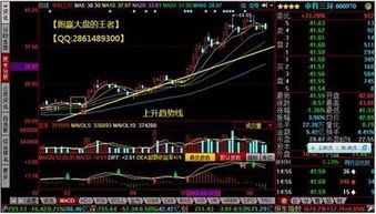 炒股票新手如何看盘面