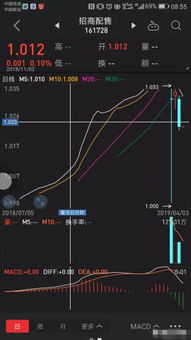 股票大涨后如何选择点数