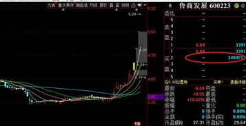 猪肉板块股票今年如何走
