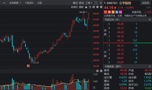 猪肉板块股票今年如何走