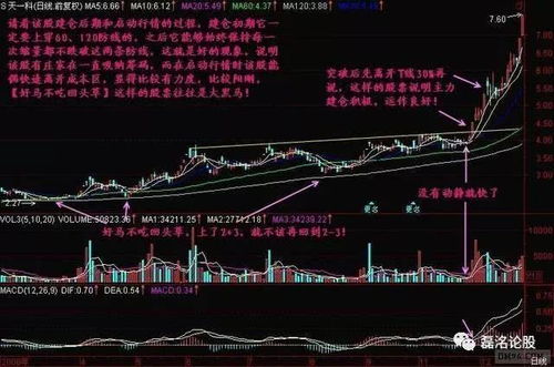 爱马股票如何