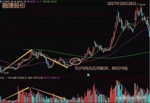 怎么导证券所有股票