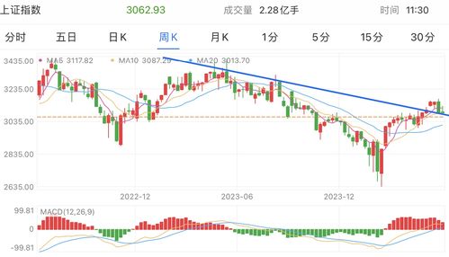 怎么导证券所有股票