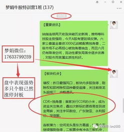 股票如何坚守本心