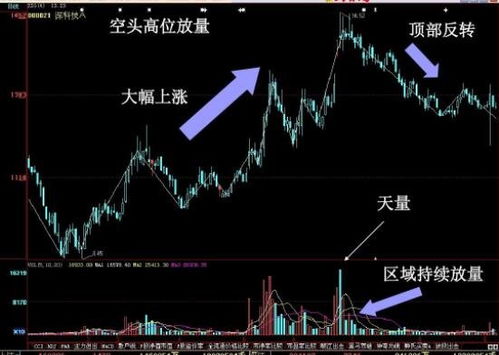 如何显示所有的股票数量 如何显示所有的股票数量