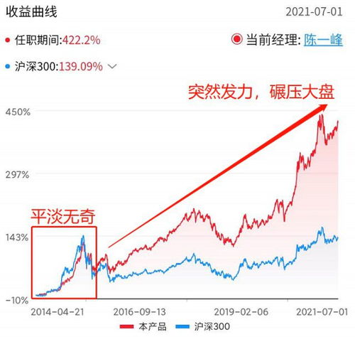安信股票业绩如何