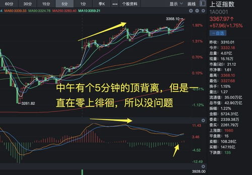 如何看涨板块股票