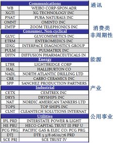 证券ib怎么审定