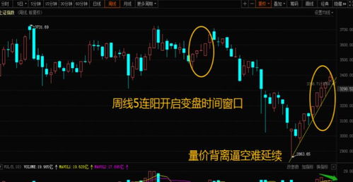 如何找5连阳的股票 如何找5连阳的股票