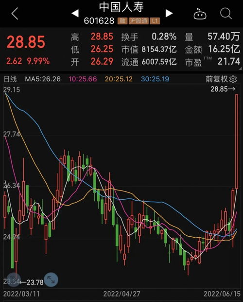 证券板块连续牛市怎么看
