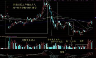 如何在大盘上找特定股票