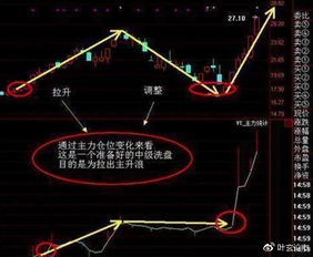 股票利润如何给投资者看 股票利润如何给投资者看