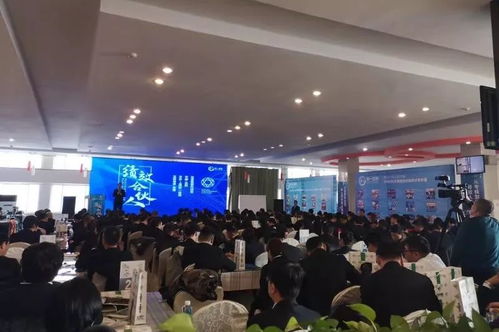 证券公司龙源待遇怎么样