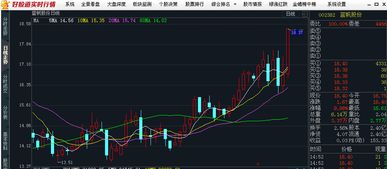股票股东如何出资 股票股东如何出资