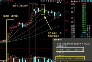 高管增持股票如何选 高管增持股票如何选